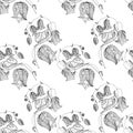 Bellflower snail monochrome doodle seamless pattern. Design elements stock vector illustration Royalty Free Stock Photo